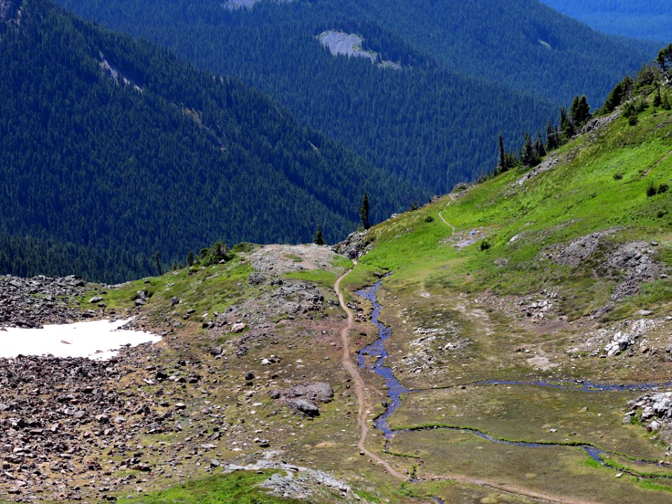 Goat Rocks Wilderness in WA