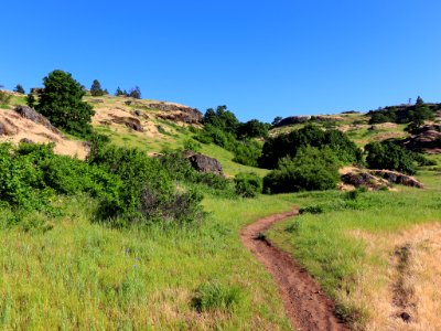 Coyote Wall Trail in WA