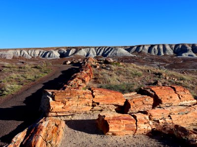 Petrified Forest NP in AZ