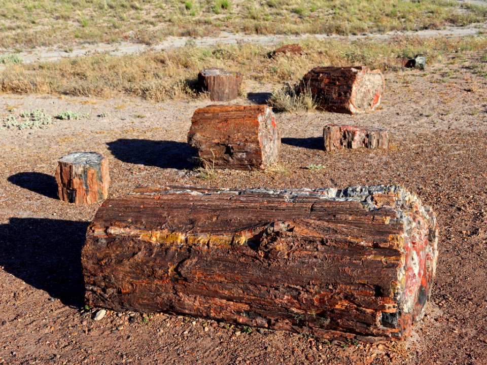 Petrified Forest NP in AZ