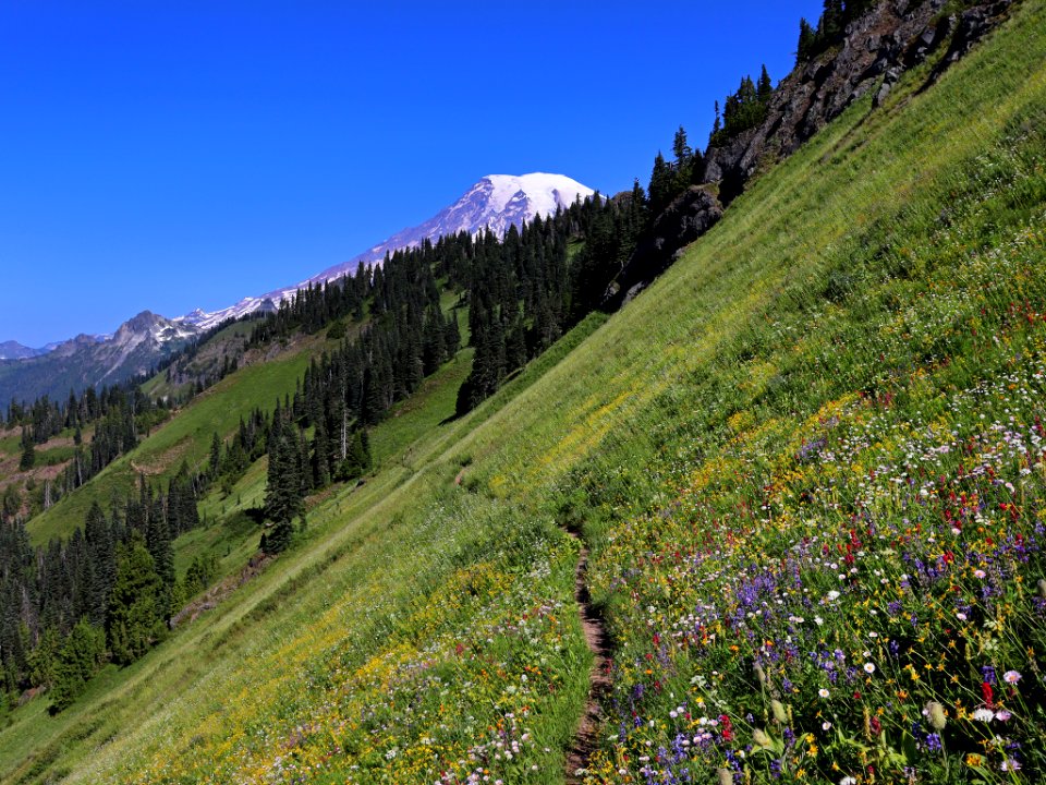 Tatoosh Ridge in WA