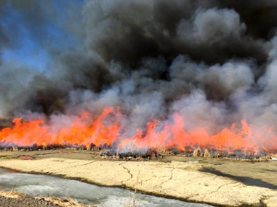 Wyoming Prescribed Burn