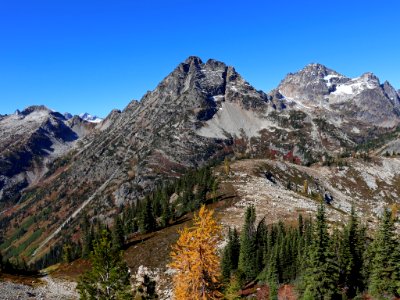 Heather-Maple Pass in WA