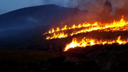 BLM Fire and Aviation Photo Contest 2020