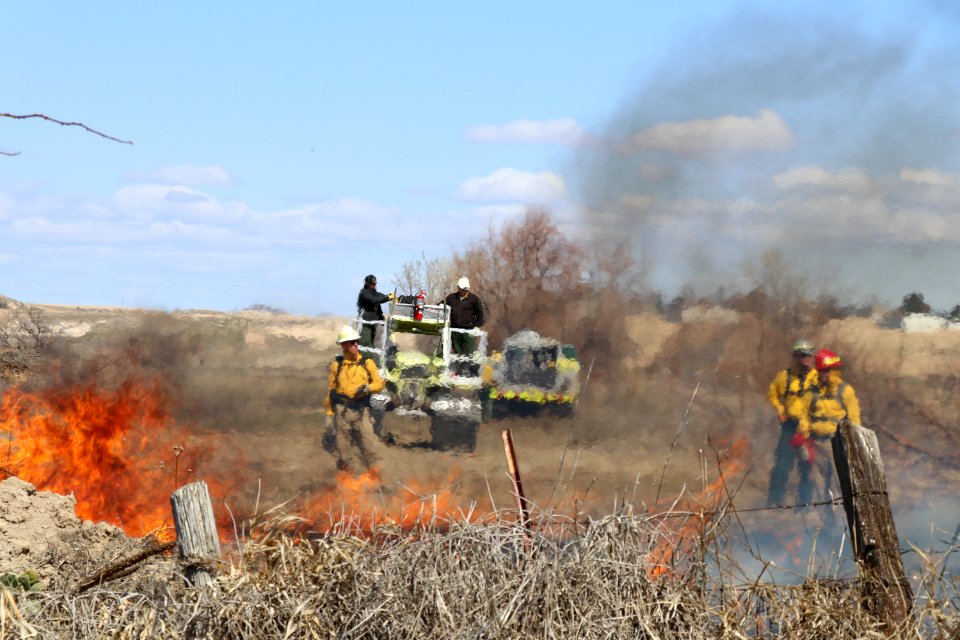 Leavitt Prescribed Fire
