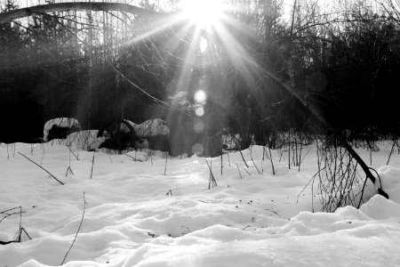 Backlit scene