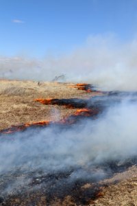 Leavitt Prescribed Fire