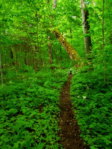 North Country Trail