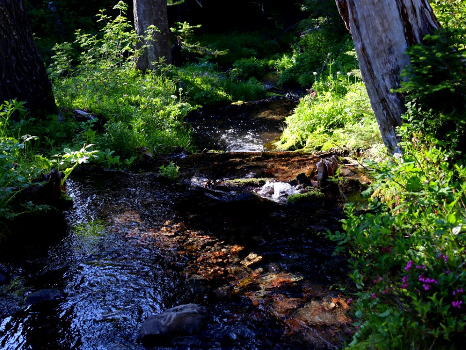 Goat Rocks Wilderness in WA