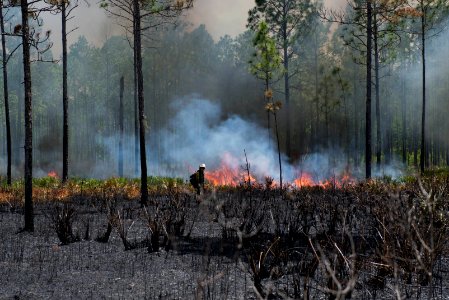 West Mims Wildfire