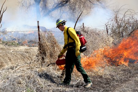 Leavitt Prescribed Fire