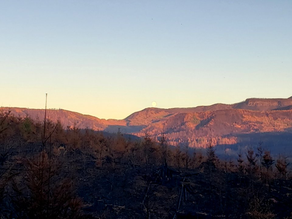 2020 Photo Contest: Land We Protect