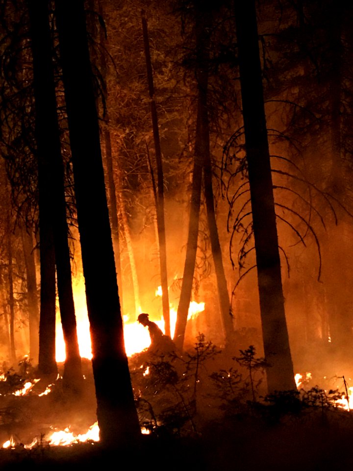 2020 Photo Contest: Land We Protect