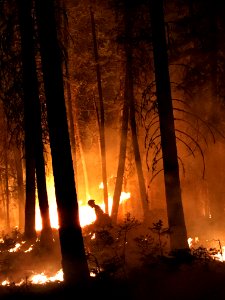 2020 Photo Contest: Land We Protect