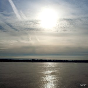 IMG 6775