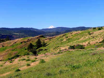 Coyote Wall Trail in WA