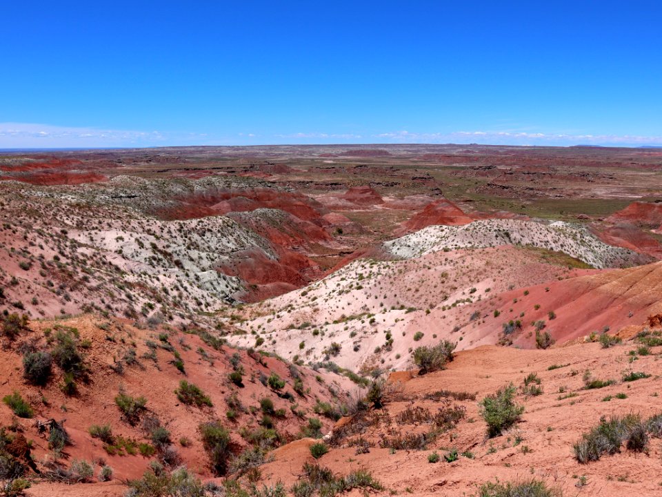 Petrified Forest NP in AZ