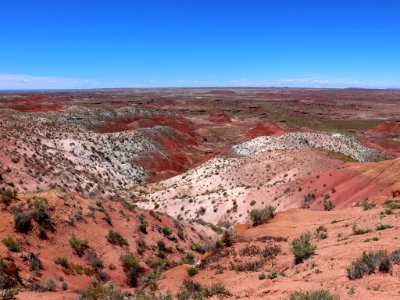 Petrified Forest NP in AZ