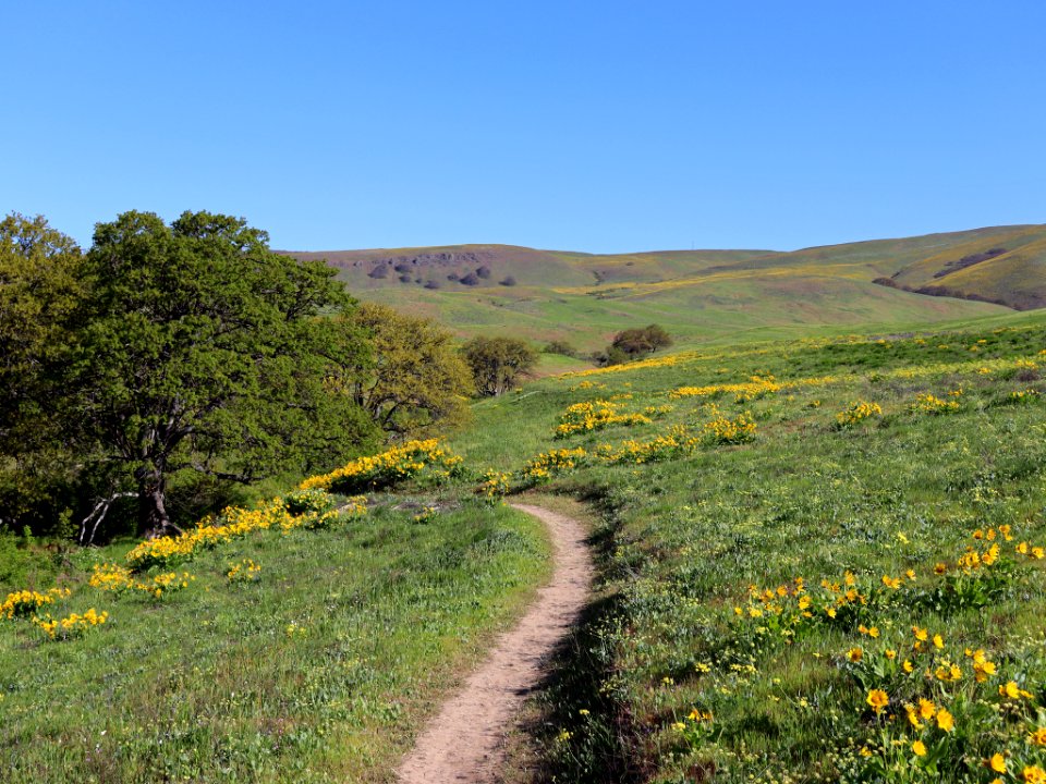 Dalles Mountain Ranch in WA