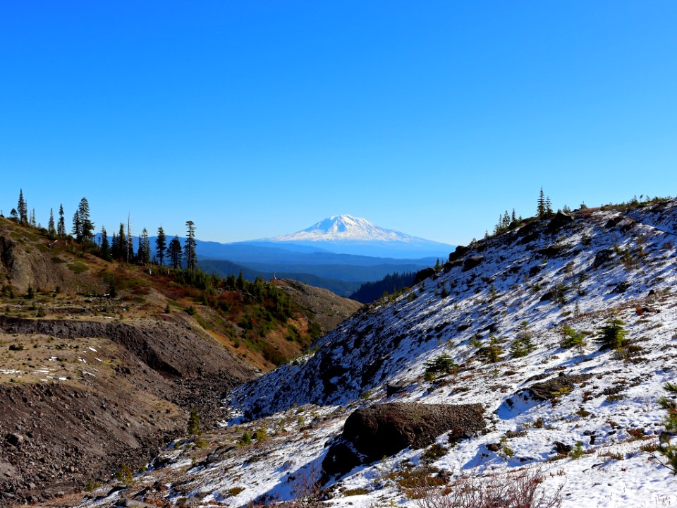 Mt. Adams at Ape Canyon Trail in WA