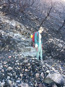 Backbone Trail Emergency Stabilization