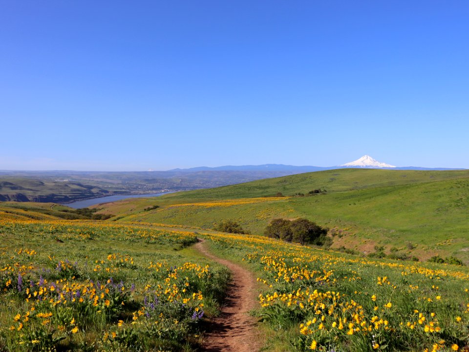 Dalles Mountain Ranch in WA