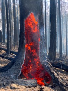 2020 Photo Contest: Land We Protect