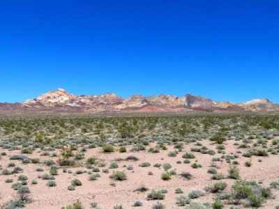 Death Valley NP in CA photo