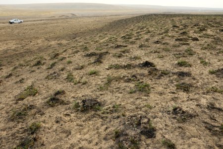 Fuel Break Stops Wildfire