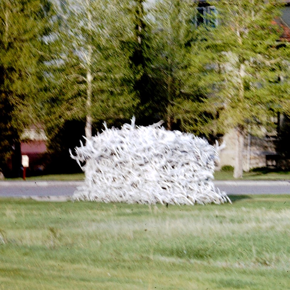 Stack of Antlers