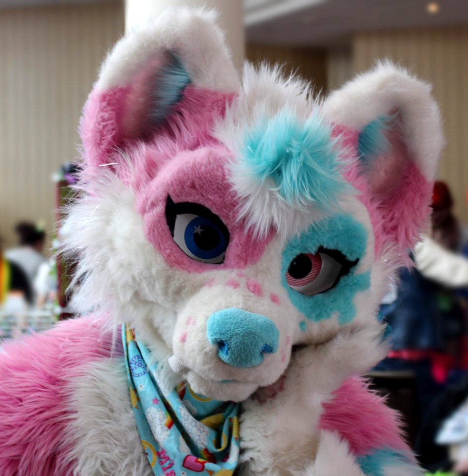 FurTheMoore2019 jv 20