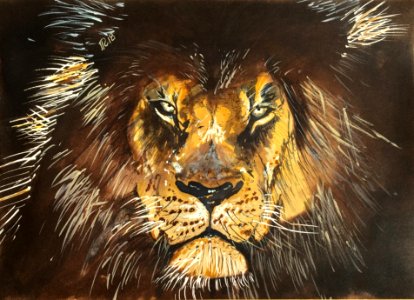 Aquarelle 18-58