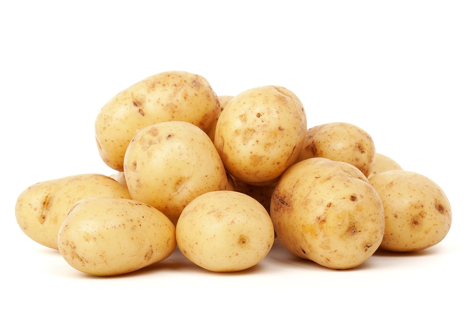 Group harvest healthy