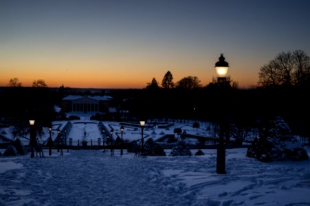 The Botanical Garden