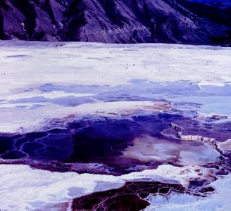 Mammoth Hot Springs Mineral