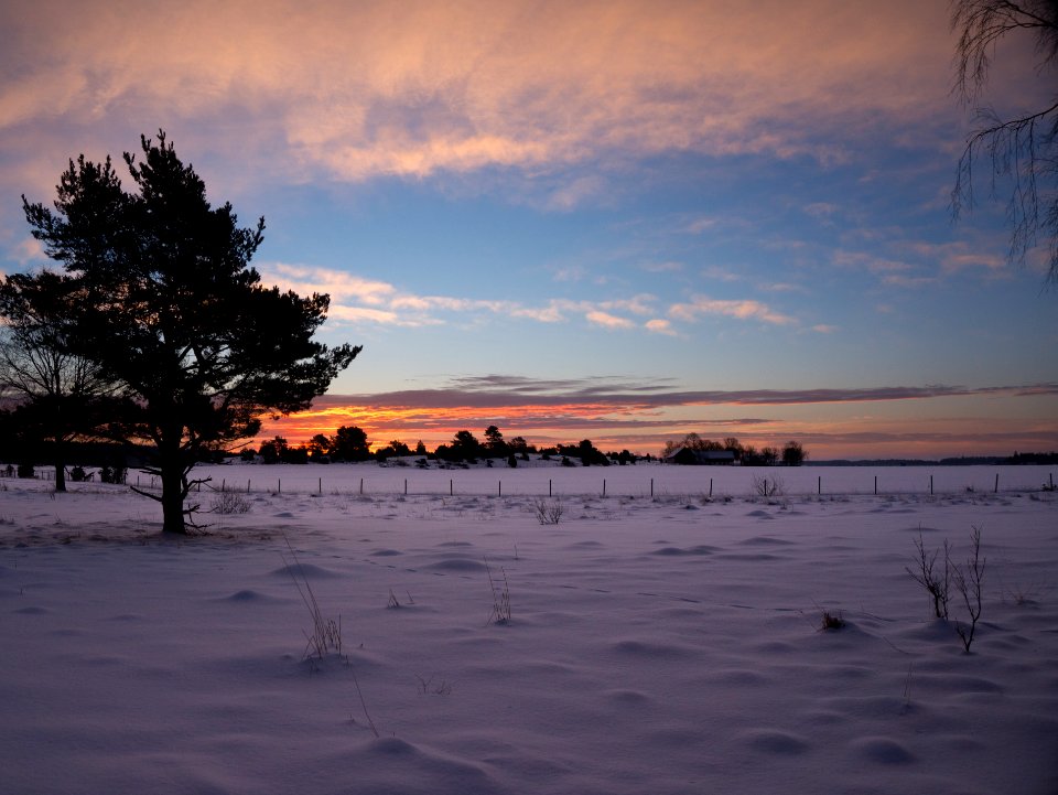 White Fields III photo