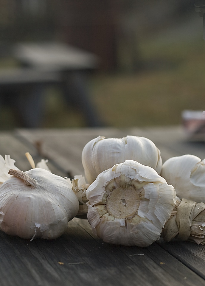 Garlic mat onion
