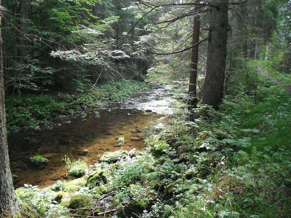 Natural watercourse environment