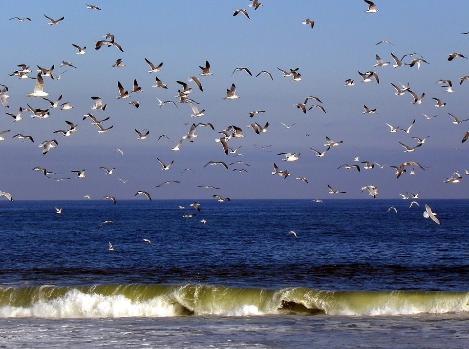 Ocean water sky photo