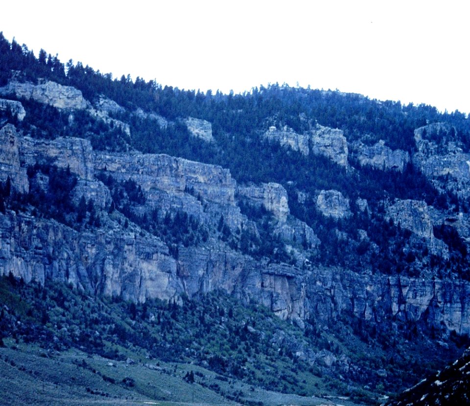 View of Black Hills