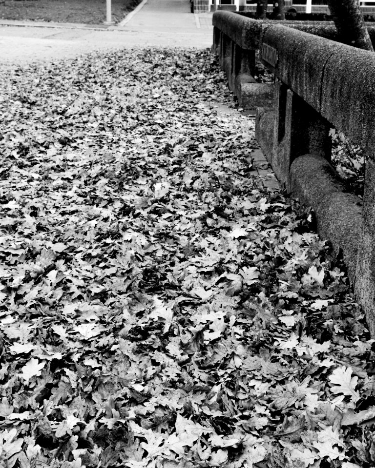 Fall decay in the city
