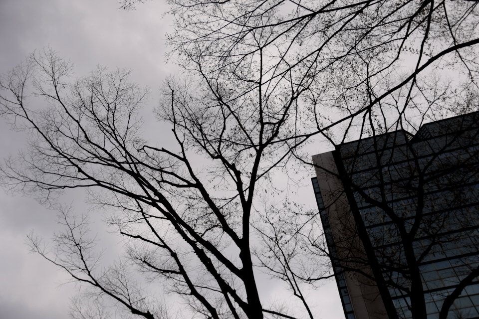 Cloudy