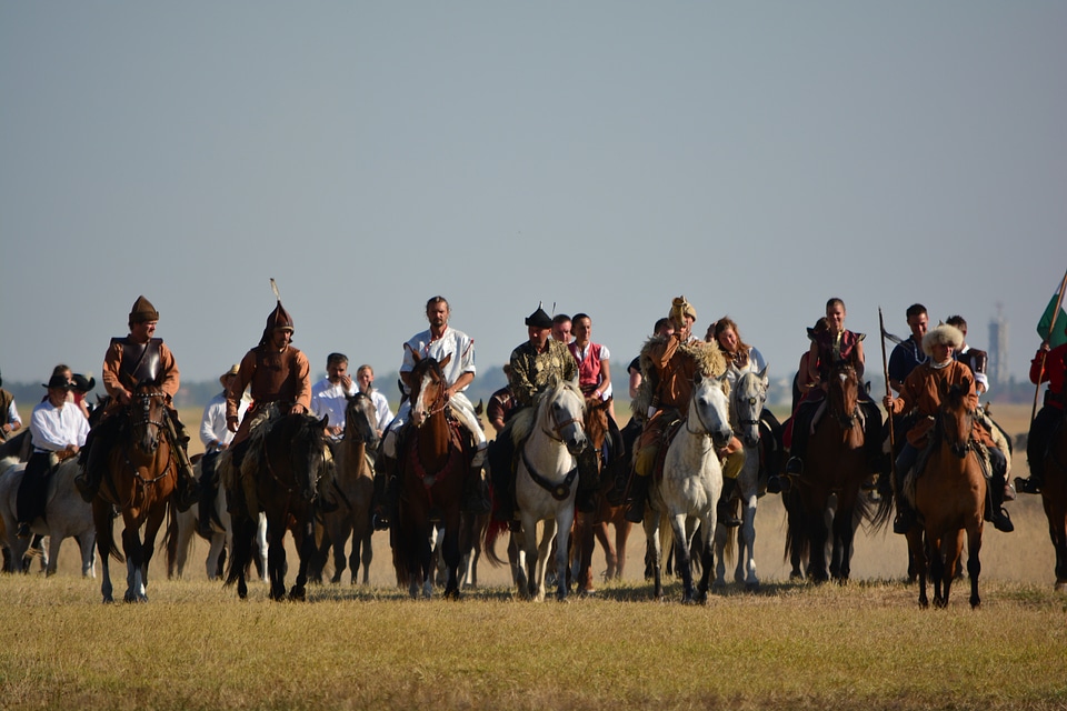 Culture tradition riders