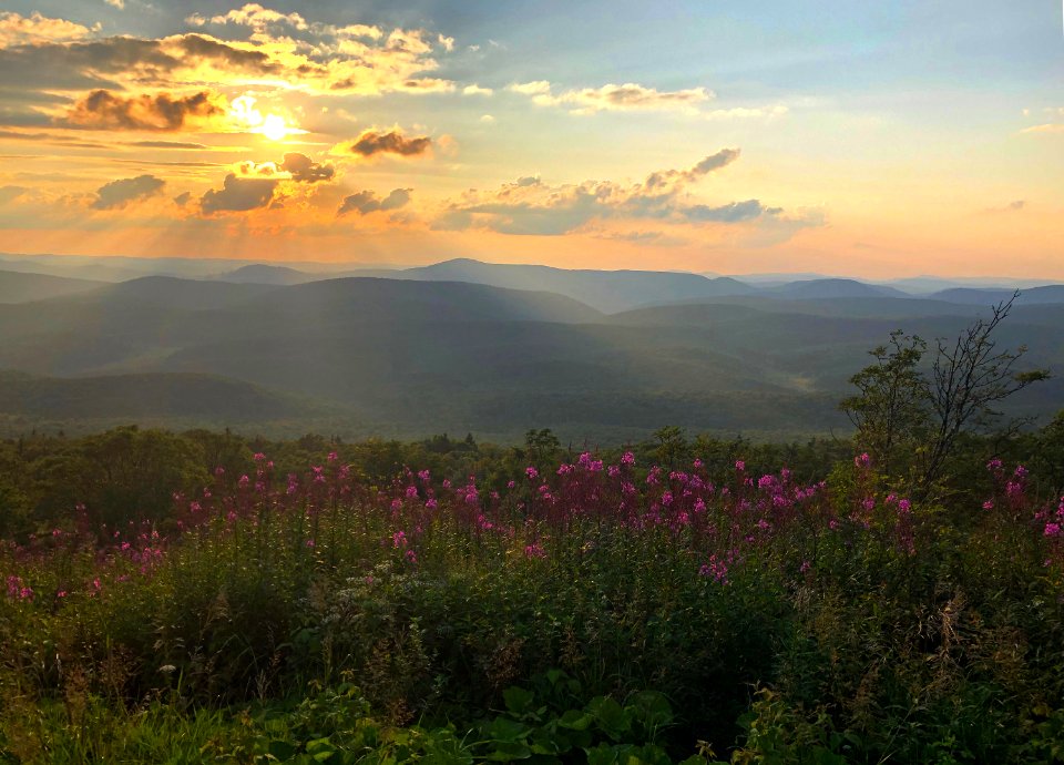 20190803-FS-Monongahela-RF-003