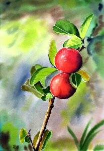 Aquarelle 18-59