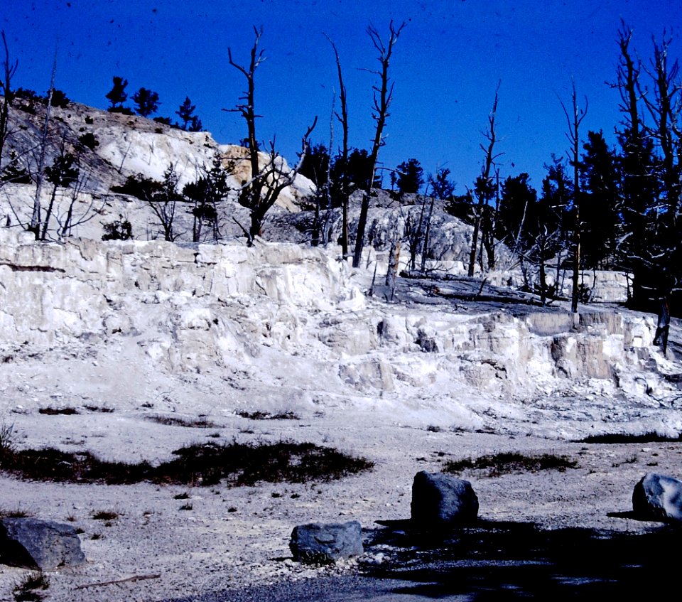 Yellowstone Mammoth Hot Springs (10)