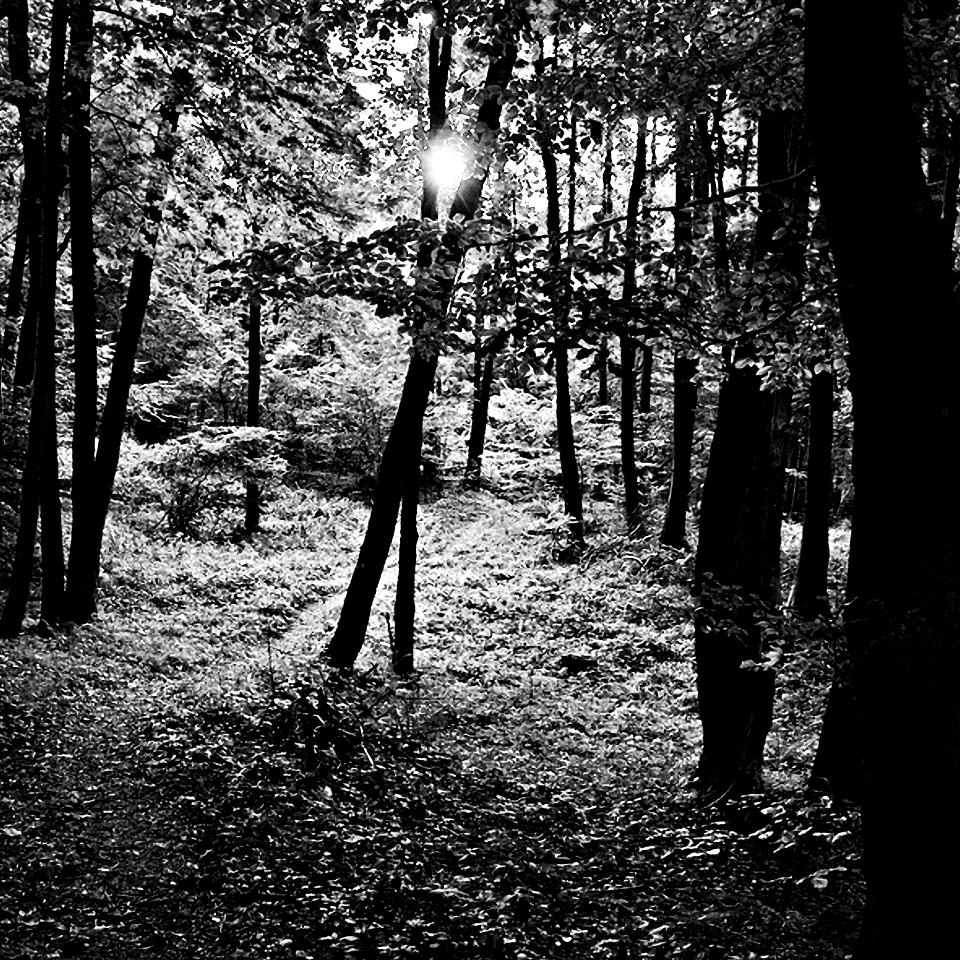 IMG 1805 (upraveno)