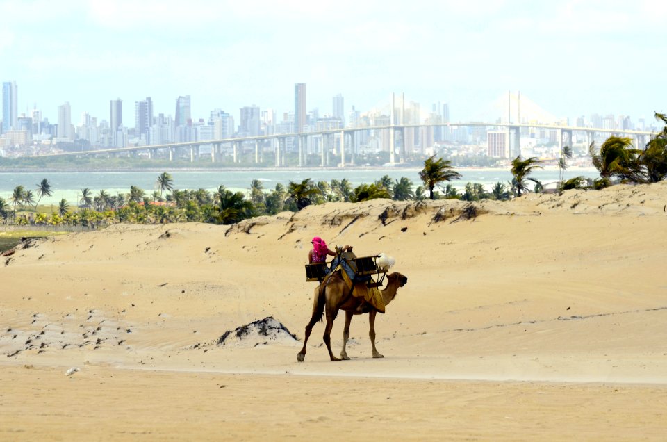 FRANKIE MARCONE Praia de Genipabu NATAL RN
