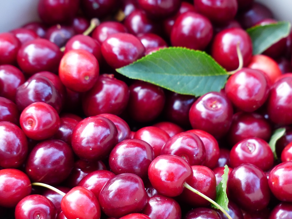 Fruit healthy leaves