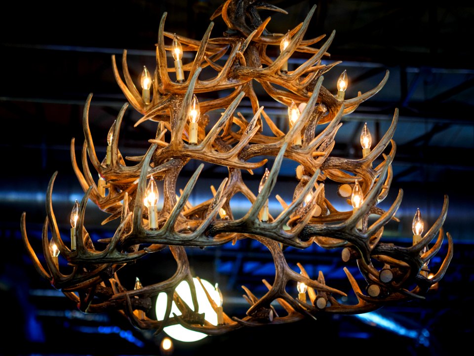 antler chandelier